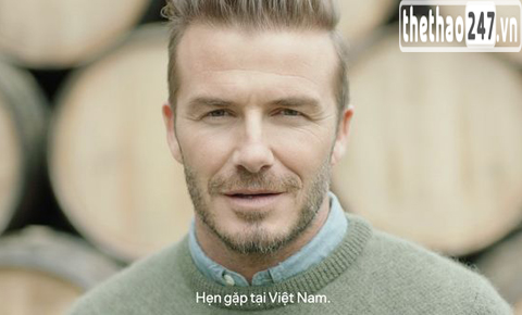 David Beckham, David Beckham đến việt nam, David Beckham đến Hà nội, David Beckham đến sài gòn