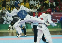 Đội tuyển Taekwondo Việt Nam tranh tài tại giải vô địch Thế giới năm 2015 Đội tuyển Taekwondo Việt Nam tranh tài tại giải vô địch Thế giới năm 2015