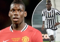MU chính thức gửi lời đề nghị cho Paul Pogba MU chính thức gửi lời đề nghị cho Paul Pogba