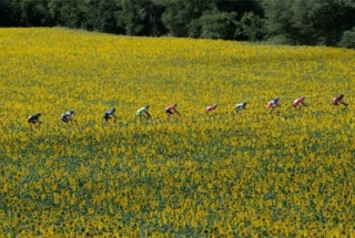 Video Tour de France 2014 Highlights: Chặng 16 đến 21 - Carcassonne tới Paris Champs-Élysées Video Tour de France 2014 Highlights: Chặng 16 đến 21 - Carcassonne tới Paris Champs-Élysées
