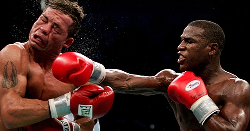 VIDEO: Top 5 cú knockout của Mayweather VIDEO: Top 5 cú knockout của Mayweather