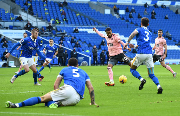 Brighton 1-1 Sheffield