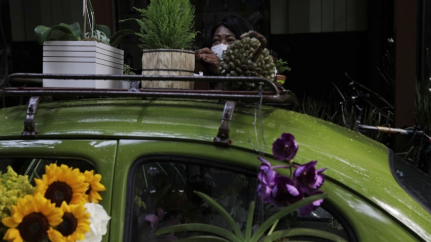 Xe cổ Beetle