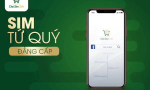 “Đập tan” những lầm tưởng về dòng sim tứ quý “Đập tan” những lầm tưởng về dòng sim tứ quý