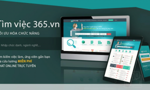 Những lý do khiến CV xin việc tại Timviec365.vn thu hút người dùng Những lý do khiến CV xin việc tại Timviec365.vn thu hút người dùng