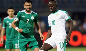 Trực tiếp Senegal vs Algeria: Đi tìm nhà vua lục địa đen Trực tiếp Senegal vs Algeria: Đi tìm nhà vua lục địa đen