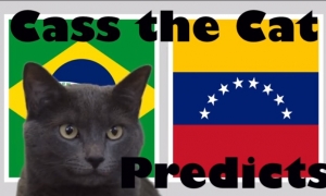 Mèo tiên tri dự đoán kết quả Brazil vs Venezuela: Điều không thể khác Mèo tiên tri dự đoán kết quả Brazil vs Venezuela: Điều không thể khác