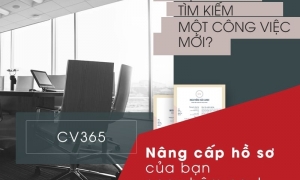 Đến với CV xin việc online của Timviec365.vn người dùng nhận được lợi ích như thế nào? Đến với CV xin việc online của Timviec365.vn người dùng nhận được lợi ích như thế nào?