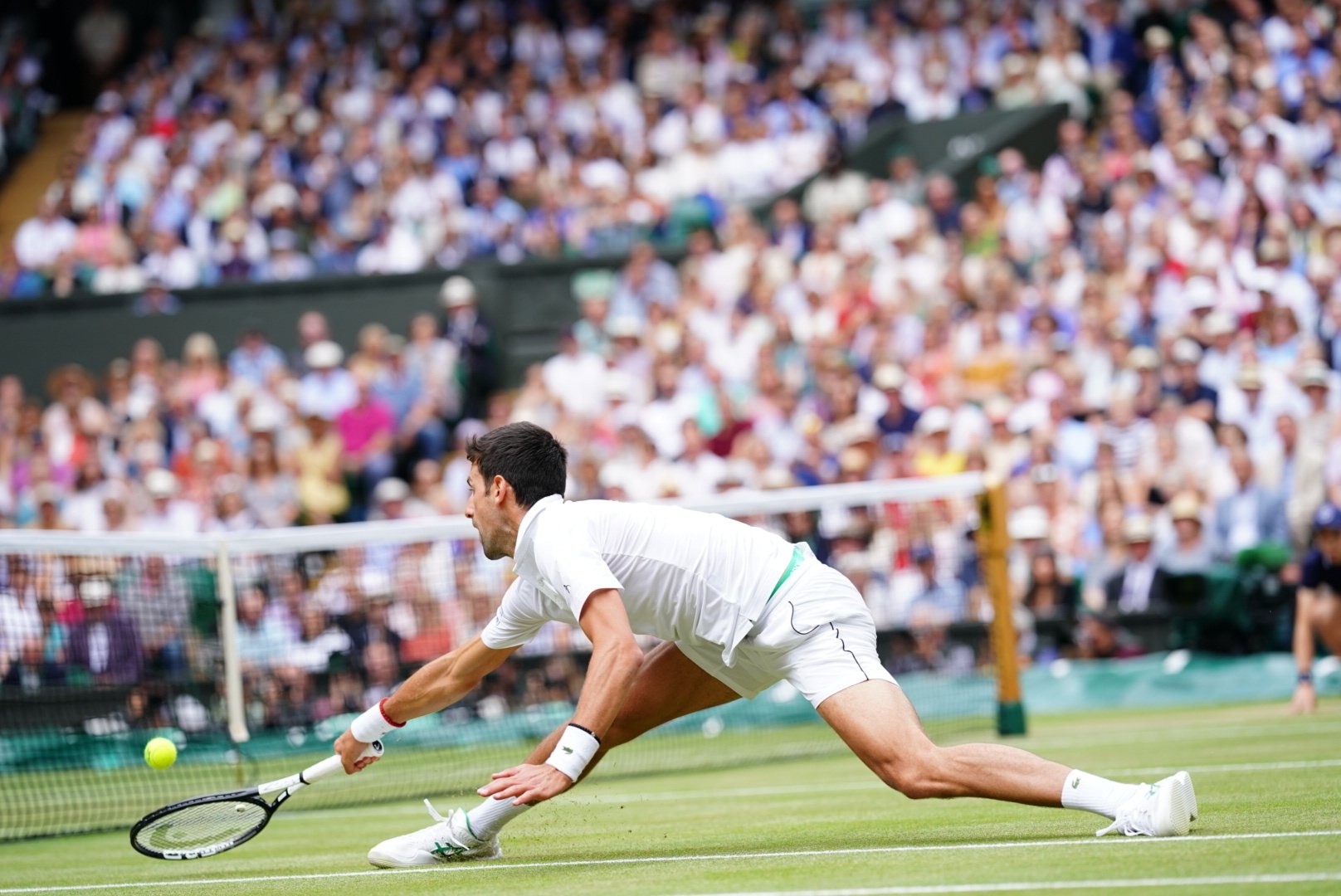 Djokovic liên tục cứu những pha bóng quan trọng Federer, Djokovic, federer vs djokovic, federer thua, federer thất bại, fererer lặng người, wimbledon