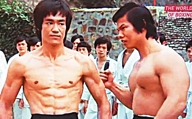 Ảnh minh họa su de ly tieu lông