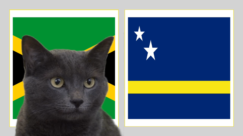 Mèo tiên tri dự đoán kết quả Jamaica vs Curacao jamaica vs curacao, dự đoán Jamaica vs curacao, soi kèo jamaica vs curacao, curacao, gold cup, concacaf gold cup, nhận định Jamaica vs curacao