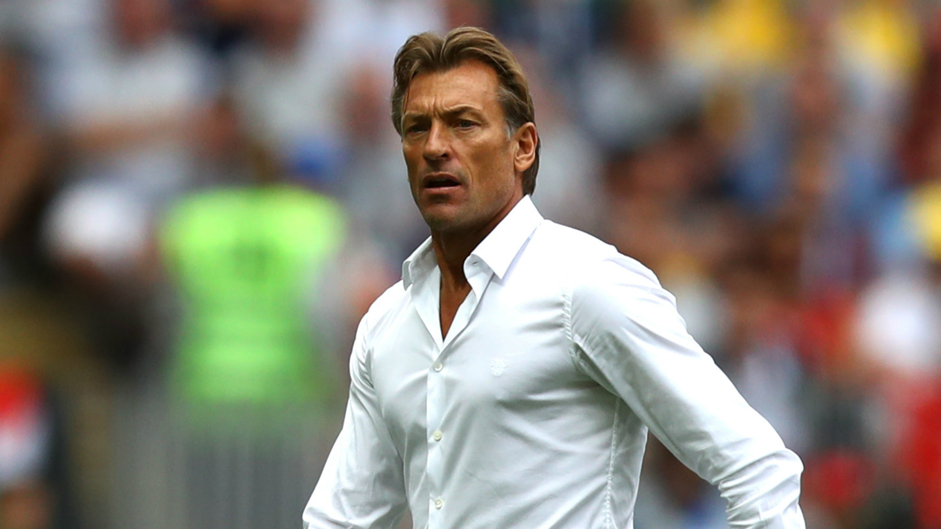 Herve Renard chính thức trở thành HLV của Ả Rập Saudi world cup, world cup 2022, vòng loại world cup 2022, Herve Renard, ả rập saudi, ả rập xê út, vòng loại world cup châu á,