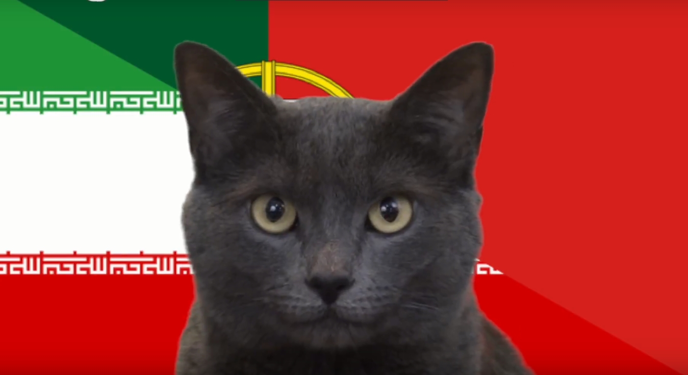 Mèo tiên tri dự đoán kết quả, tỉ số Bồ Đào Nha vs Iran ...