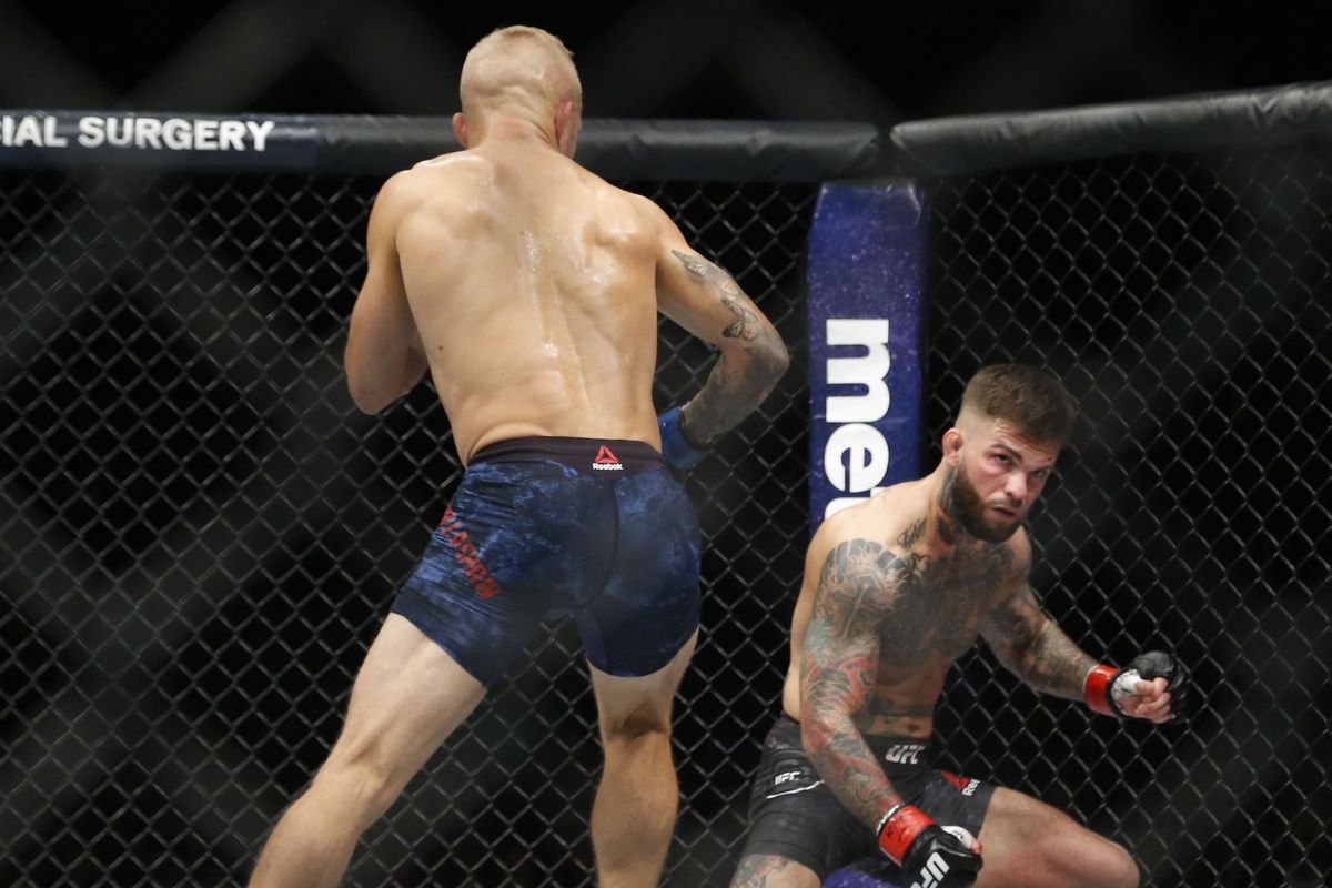 Và cú knockout của TJ ở UFC 217 đã -reset- lại câu chuyện giữa 3 người, kéo dài nó đi thêm ít nhất là 1 trận tái đấu nữa. TJ Dillashaw, UFC 227, Dominick Cruz, Cody Garbrandt, võ sĩ vĩ đại nhất, TJ vs Cody, tái đấu, Conor McGregor,