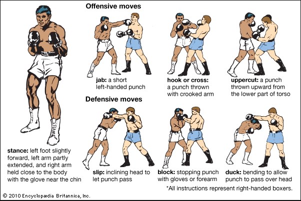 Boxing, lí do chọn Boxing, tập Boxing, tại sao nên bắt đầu với Boxing, Boxing đơn giản, Floyd Mayweather Jr, Lomachenko
