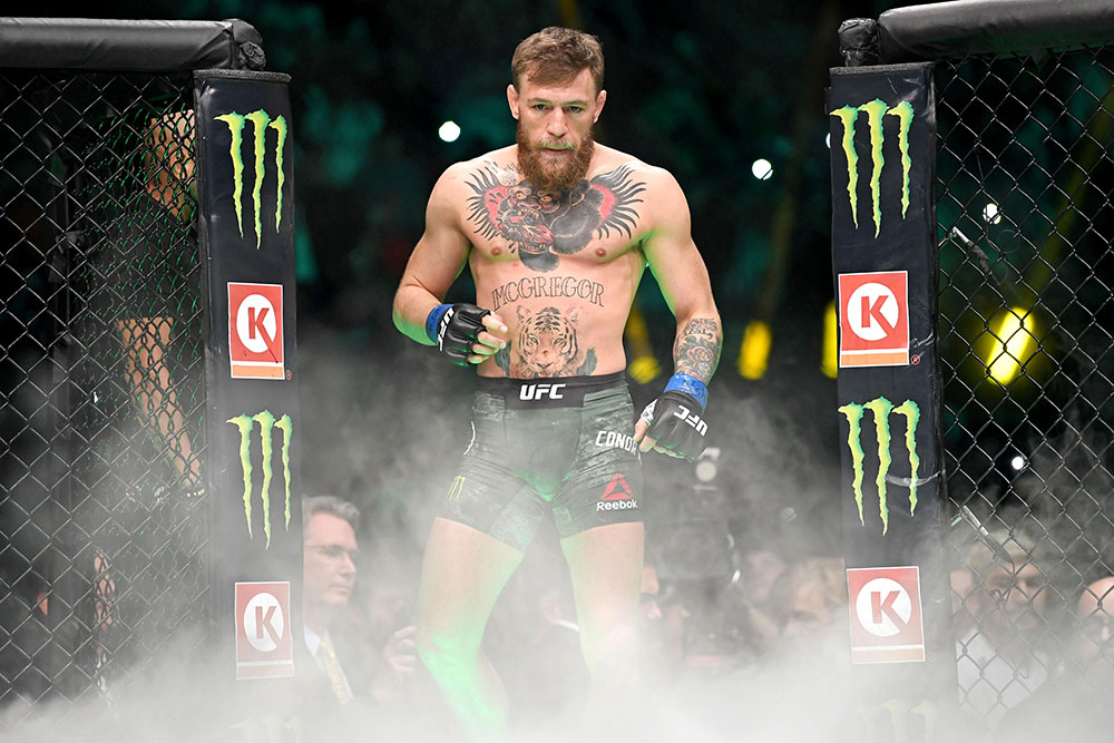 Dường như Conor cũng đang 'hứng thú' với việc kiếm tiền từ giới tài phiệt Nhật Bản. mma, conor mcgregor, thần đồng kickboxing nhật bản, tenshin nasukawa,