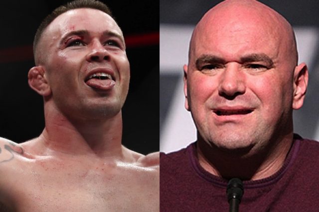 Colby nhắm thẳng vào chủ tịch Dana White. ufc, tranh đai ufc, colby covington, covington nổi khùng,