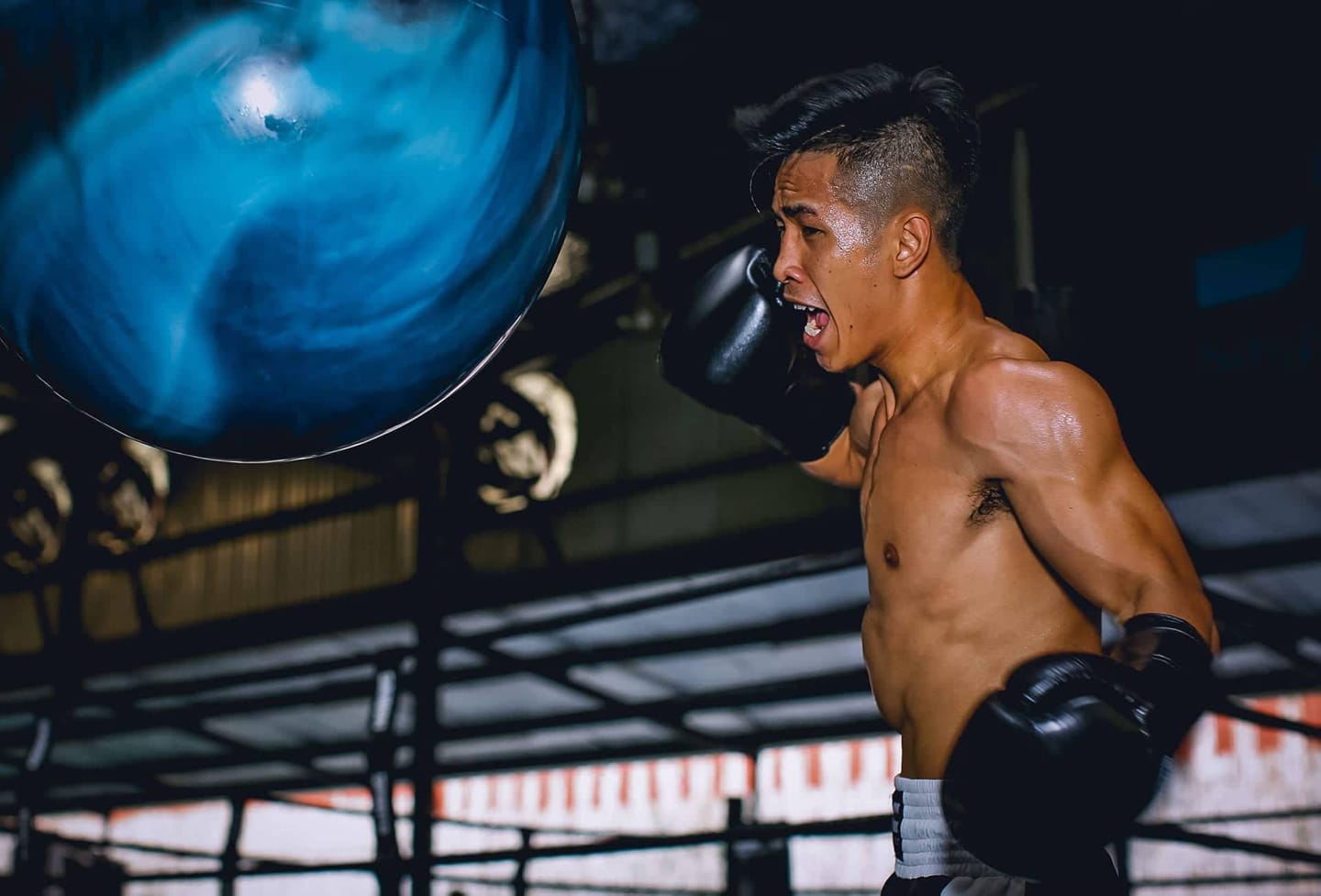 'Thảo Trần' đang chuẩn bị kĩ lưỡng cho cơ hội lớn trước mắt. boxing, trần văn thảo, boxing việt nam,