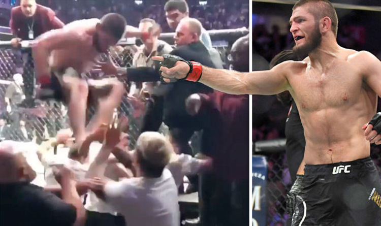 Là người khởi xướng, Khabib chịu trách nhiệm chính cho vụ việc tại UFC 229. ufc, mma, khabib, conor mcgregor, khabib vs conor, ufc 229, án phạt ufc 229