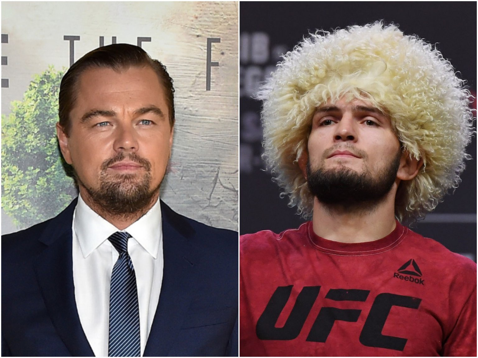 Khabib suýt chút nữa ... song phi vào DiCaprio. ufc, ufc 229, khabib nurmagomedov, leonardo dicarprio