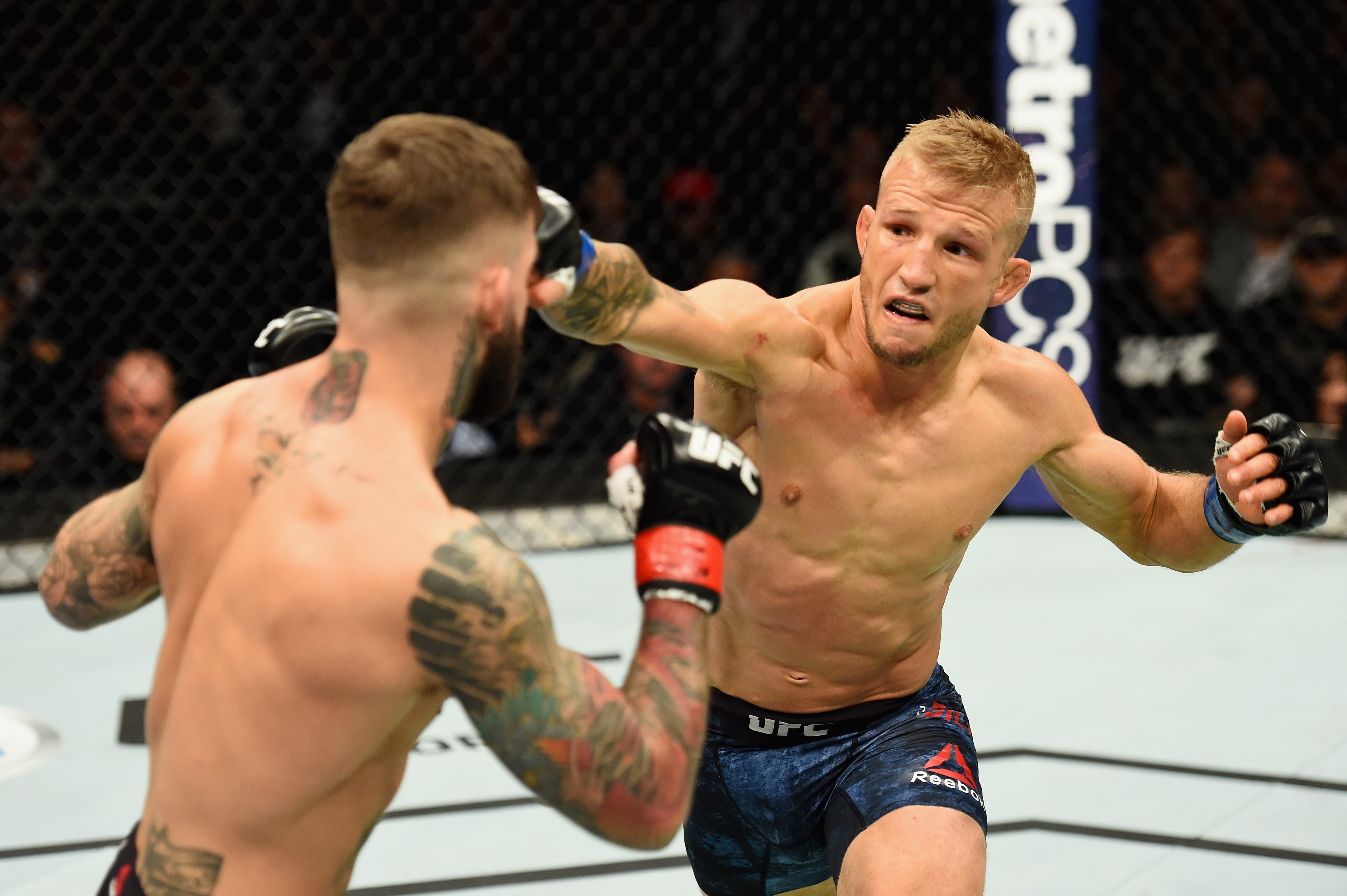 TJ Dillashaw đang đứng trước giai đoạn đen tối nhất của sự nghiệp sau khi các kết quả kiểm tra được công bố. ufc, tj dillashaw, tj dillashaw cấm thi đấu,