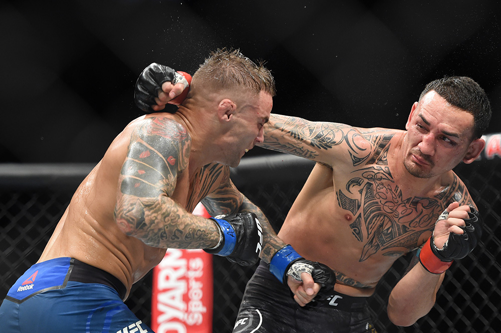 Không phải là một thất bại toàn diện, Holloway vẫn còn chiếc đai Featherweight cần bảo vệ ở trước mắt. kelin gastelum, ufc 236, max holloway,