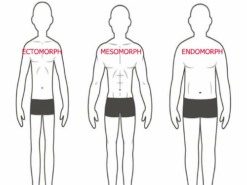 Các loại cơ địa giảm cân, giảm cân cho từng cơ địa, phương pháp giảm cân