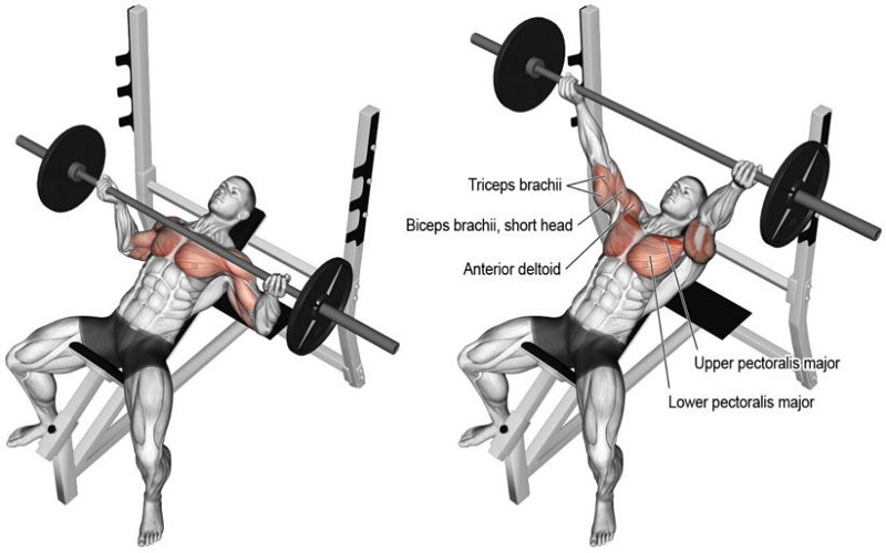 Incline dumbbell presses lịch tập gym giảm cân