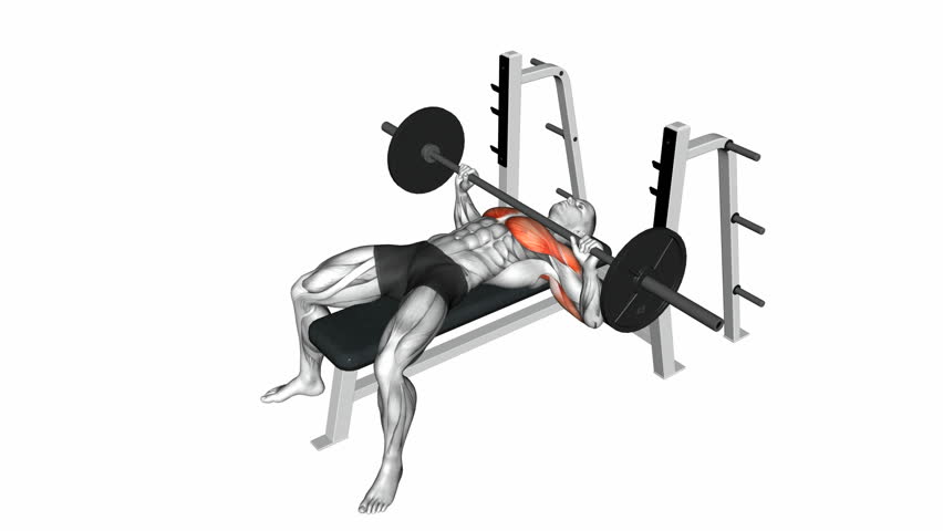 Bench presses lịch tập gym tăng cơ