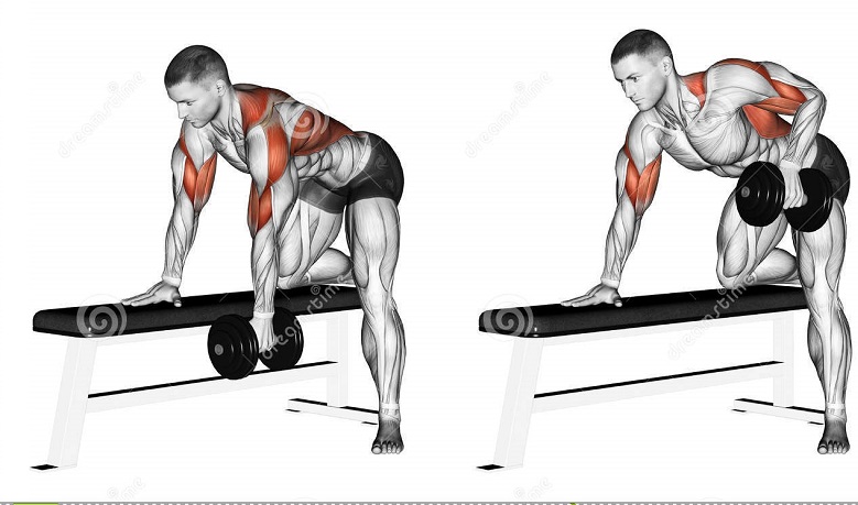 One arm dumbbell rows giáo án tập thể hình