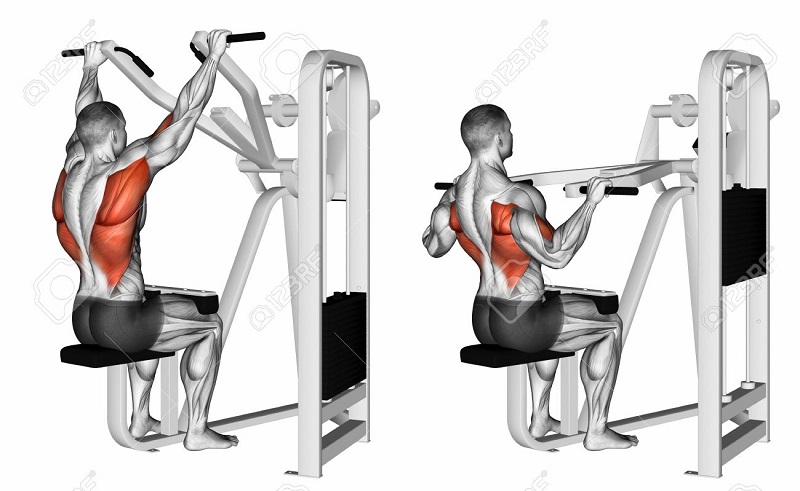 Lat pull downs lịch tập gym cho nam hiệu quả