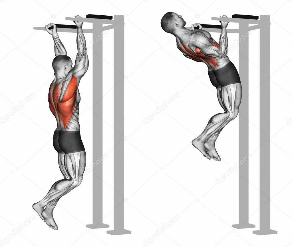 Reverse chin-ups lịch tập gym hiệu quả nhất