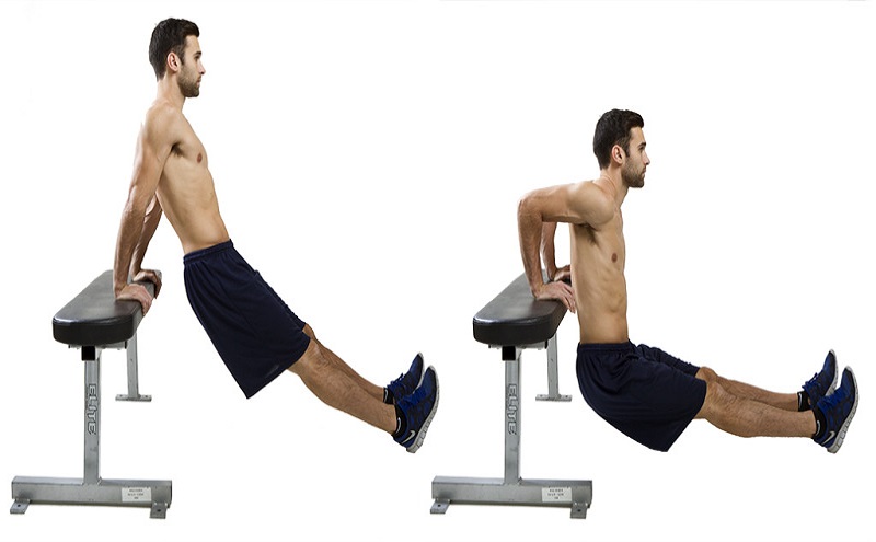 Triceps dip lịch tập gym cho nam tăng cân