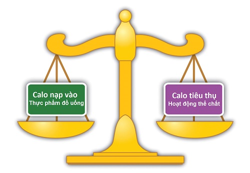 Xác định lượng calo trong thực đơn giảm cân nhanh