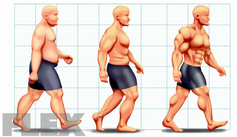 Bạn không nên tập luyện quá mức tăng cơ giảm mỡ