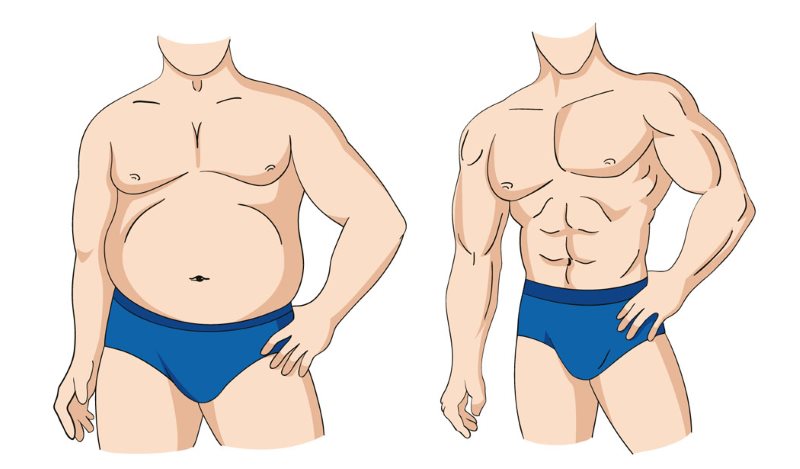 Tăng cơ giảm mỡ không dễ giảm mỡ