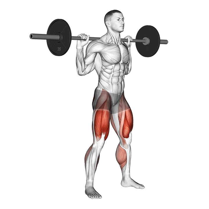 Barbell Squat - Gánh đùi tập chân mông lich tap gym hieu quả