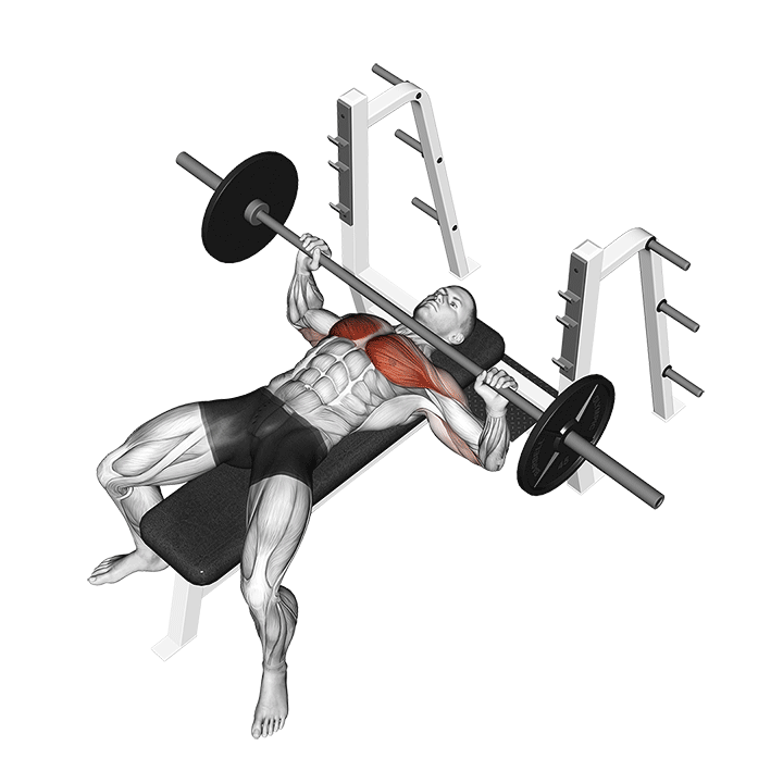 Barbell Bench Press – Nằm ghế đẩy tạ đòn lich tap gym cho nam