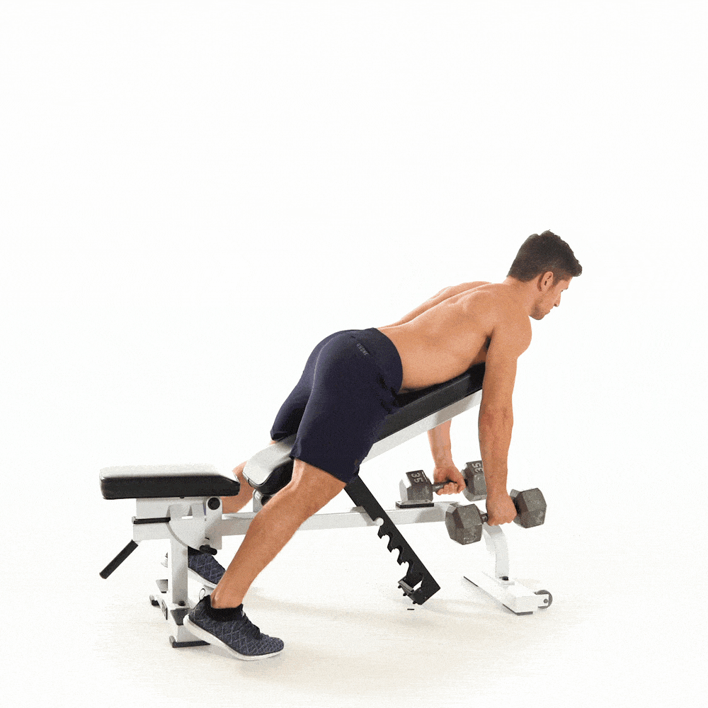 Chest-supported Dumbbell Row - Kéo tạ 1 tay tập ngực lich tap gym 6 buoi 1 tuan cho nam
