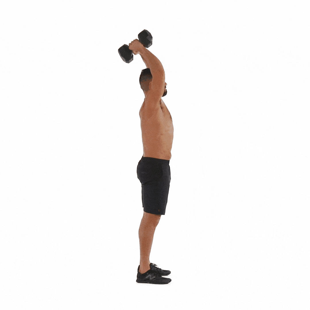Overhead Dumbbell Press - Đẩy tạ qua đầu lich tap gym nam
