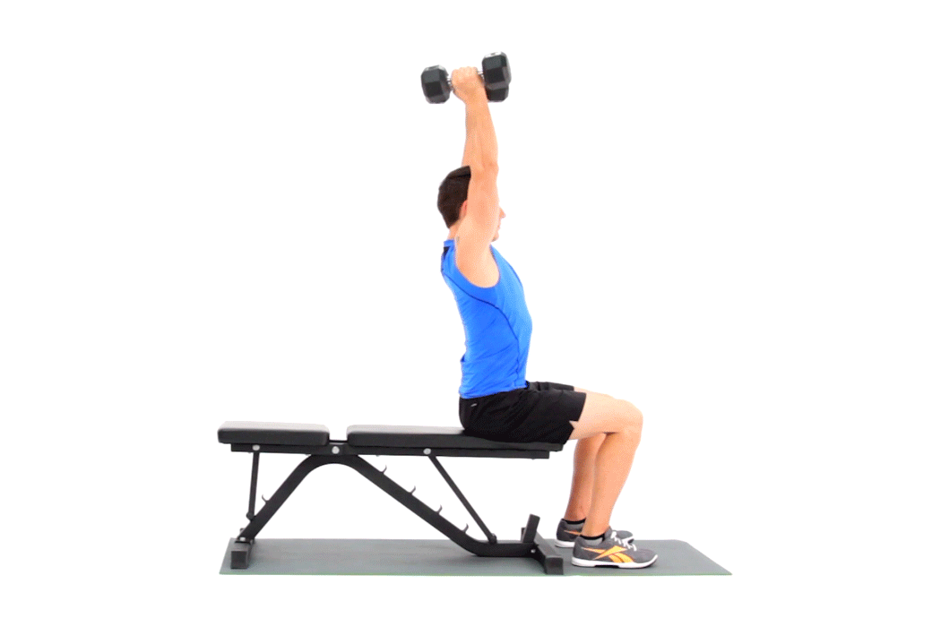 Reverse Grip Pulldown - Kéo tạ ngược tay lich tap gym chuẩn
