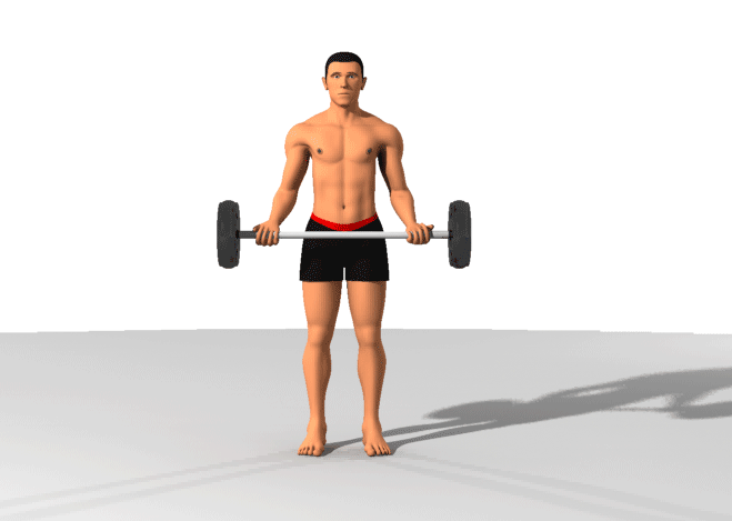 Barbell Biceps Curl - Đứng cuốn tạ lich tap gym cho nam moi tap
