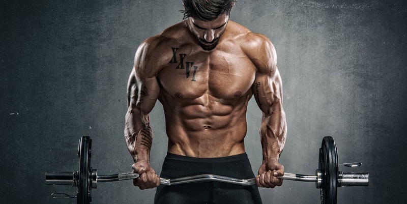 Thiết kế lịch tập gym như thế nào? lich tap gym