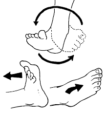 Ankle Circles ankle circles
