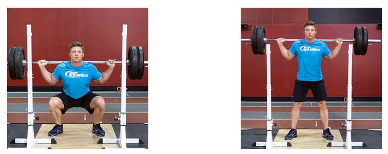 Barbell Squat barbell squat