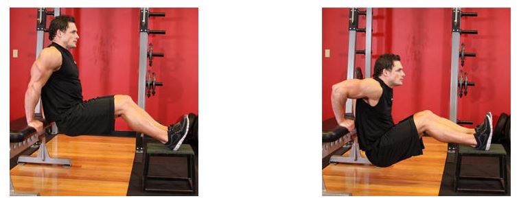 Bench Dips bench dips