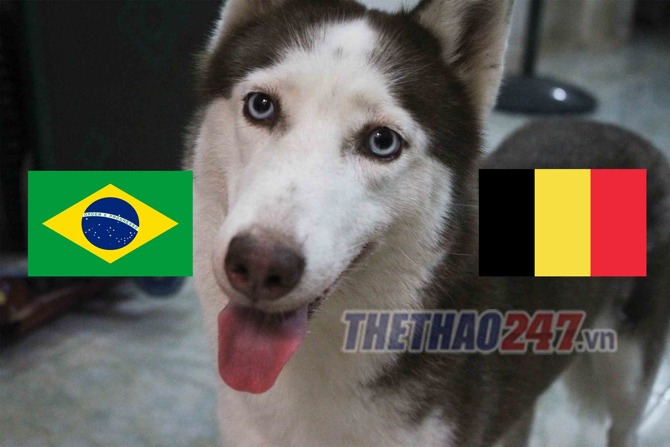 Loki đã dự đoán Brazil sẽ vào bán kết. cho tien tri Loki du doan ket qua tu ket Brazil vs Bi