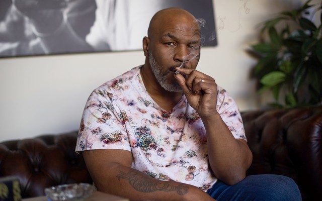 Mike Tyson làm bạn với cần sa và chất kích thích Mike Tyson, huyền thoại quyền anh, quyền anh hạng nặng, boxing, doping, tay đấm người Mỹ, võ sĩ co giật, võ sĩ tử vong, võ sĩ gãy cổ