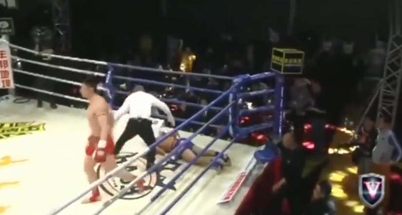 video mma, video võ thuật, video boxing