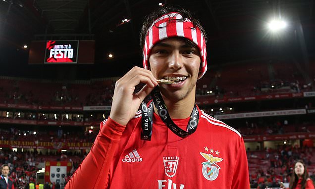 Felix vừa trải qua mùa giải ấn tượng trong màu áo Benfica chuyển nhượng mu, mu, man utd, man united, benfica, joao felix
